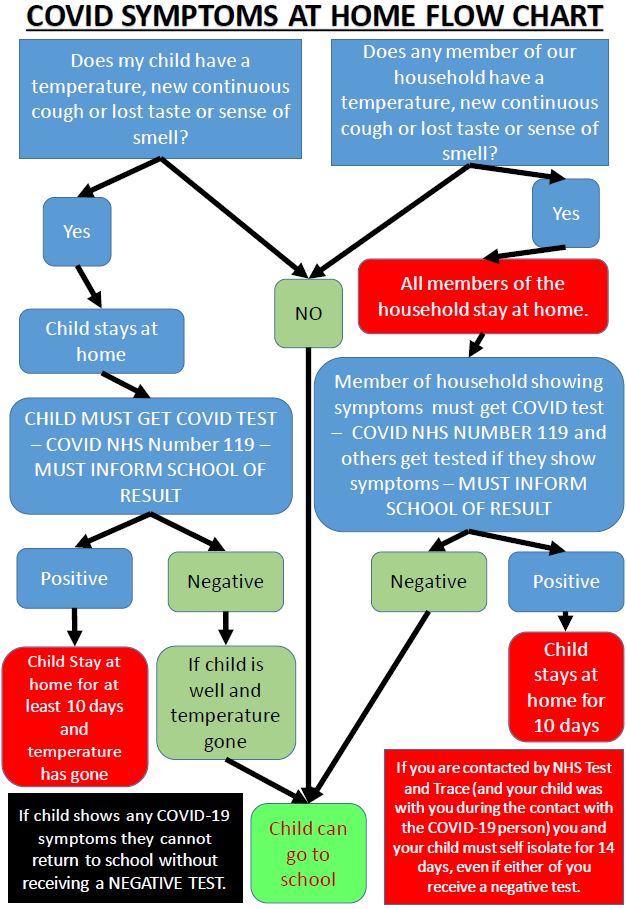 Covid Symptoms at home flow chart for primary and secondary parents ...